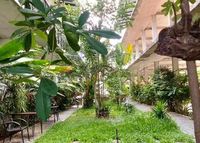 Phan Nata *